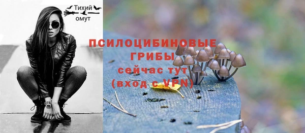 меф Новозыбков