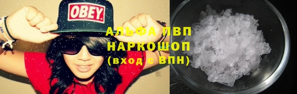 mdpv Новодвинск