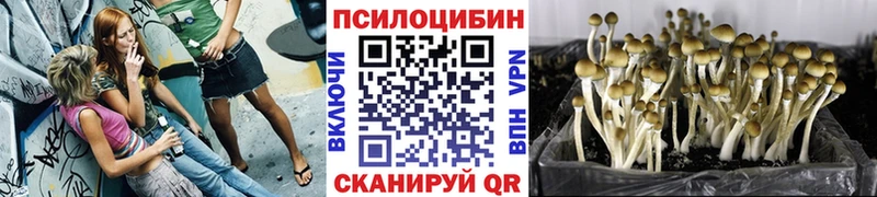 продажа наркотиков  Чусовой  Галлюциногенные грибы MAGIC MUSHROOMS 