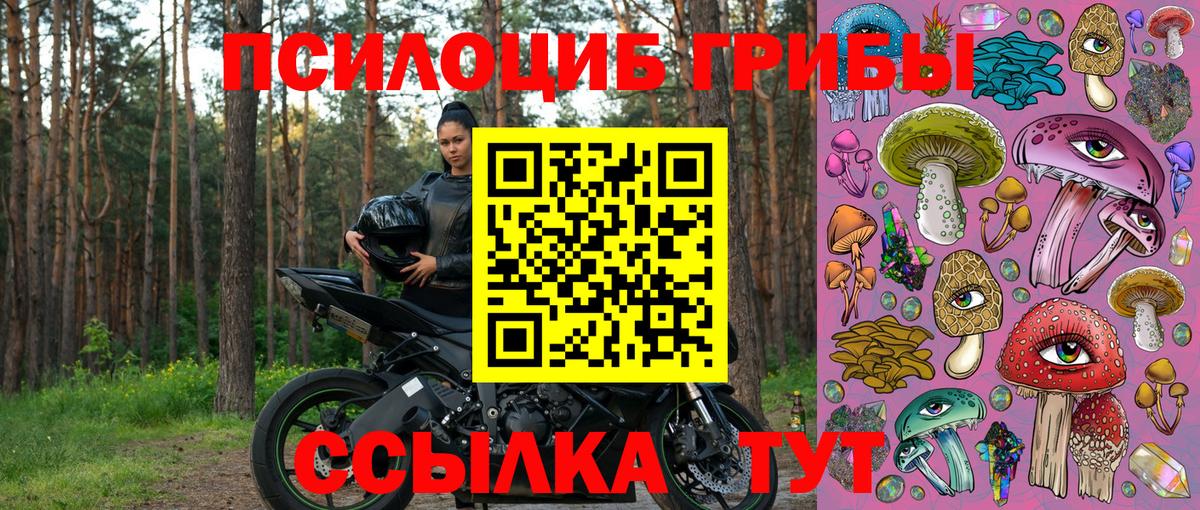 Галлюциногенные грибы Psilocybe Чусовой